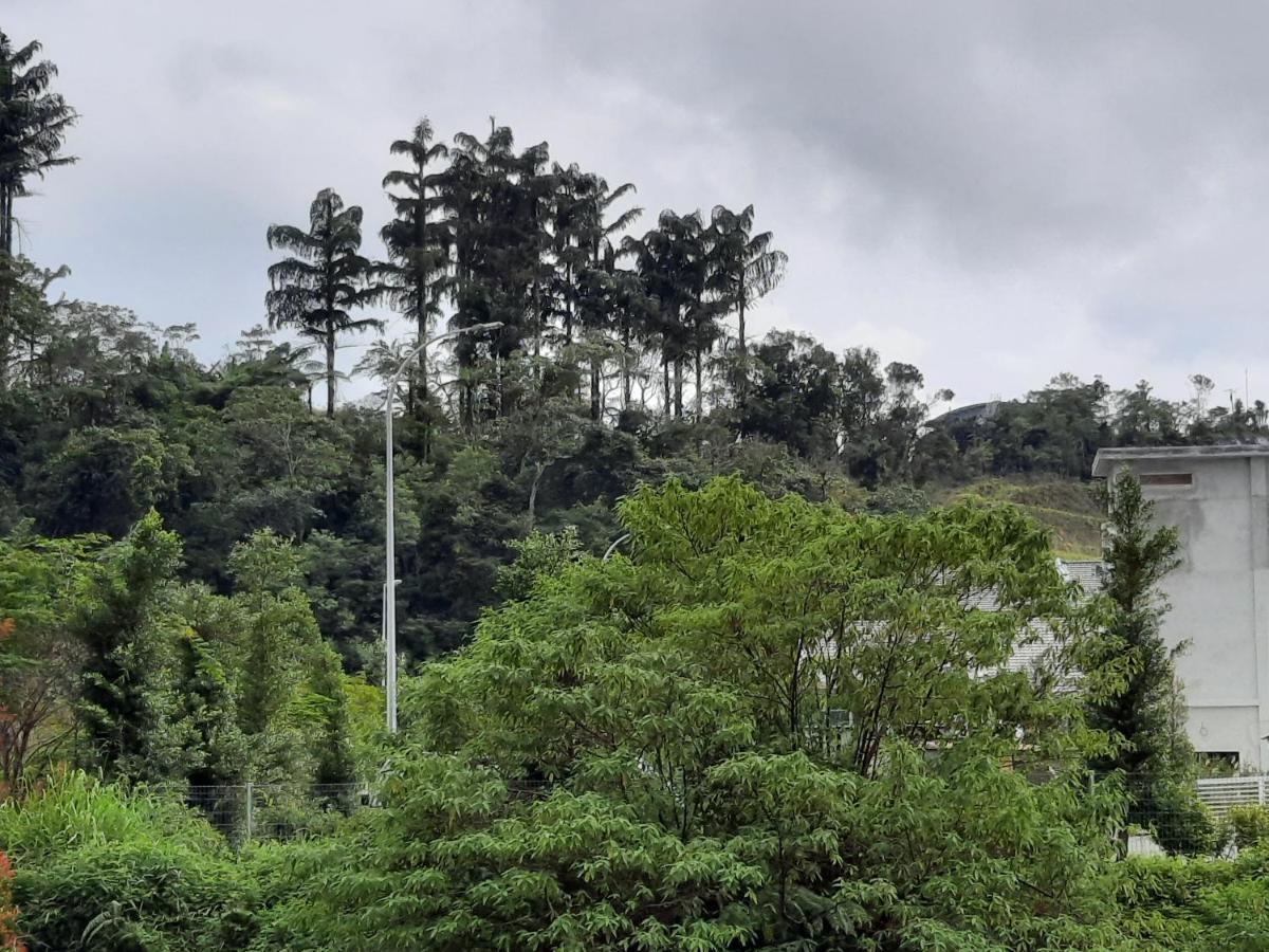 Lily Homestay Barrington Square Cameron Highlands. Brinchang Eksteriør billede